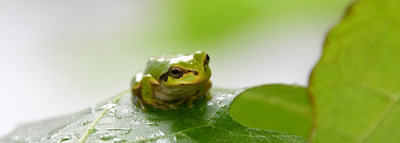 �@�B���E�J�G��