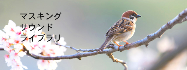 �}�X�L���O�T�E���h���C�u�����́A�h���ނ�z���ނɂ��Ώ�������u�V��(��K)����̑����v�u�������̂Ȃ��ő̓`�d���v�u����g(�d�ቹ)�����v�ɑ΂��ėL���ȃ\�t�g�}�X�L���O�p�̉�����񋟂��܂��B