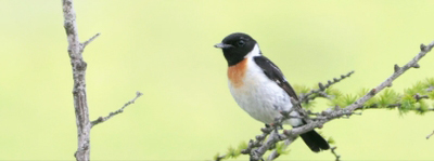 ���̖��E��ԉ�