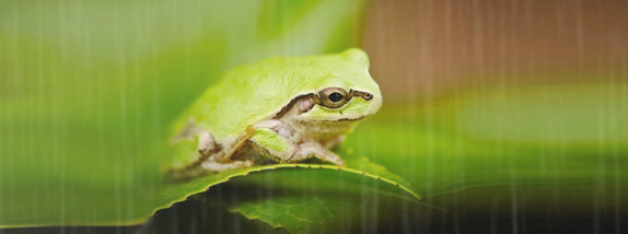 �J�E�J�G��