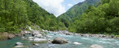 ���̉��E���