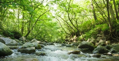 ��ӁE�Z�~�̖���