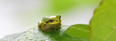  �����ŋN������ɂ���������<br>���܂��傤�B